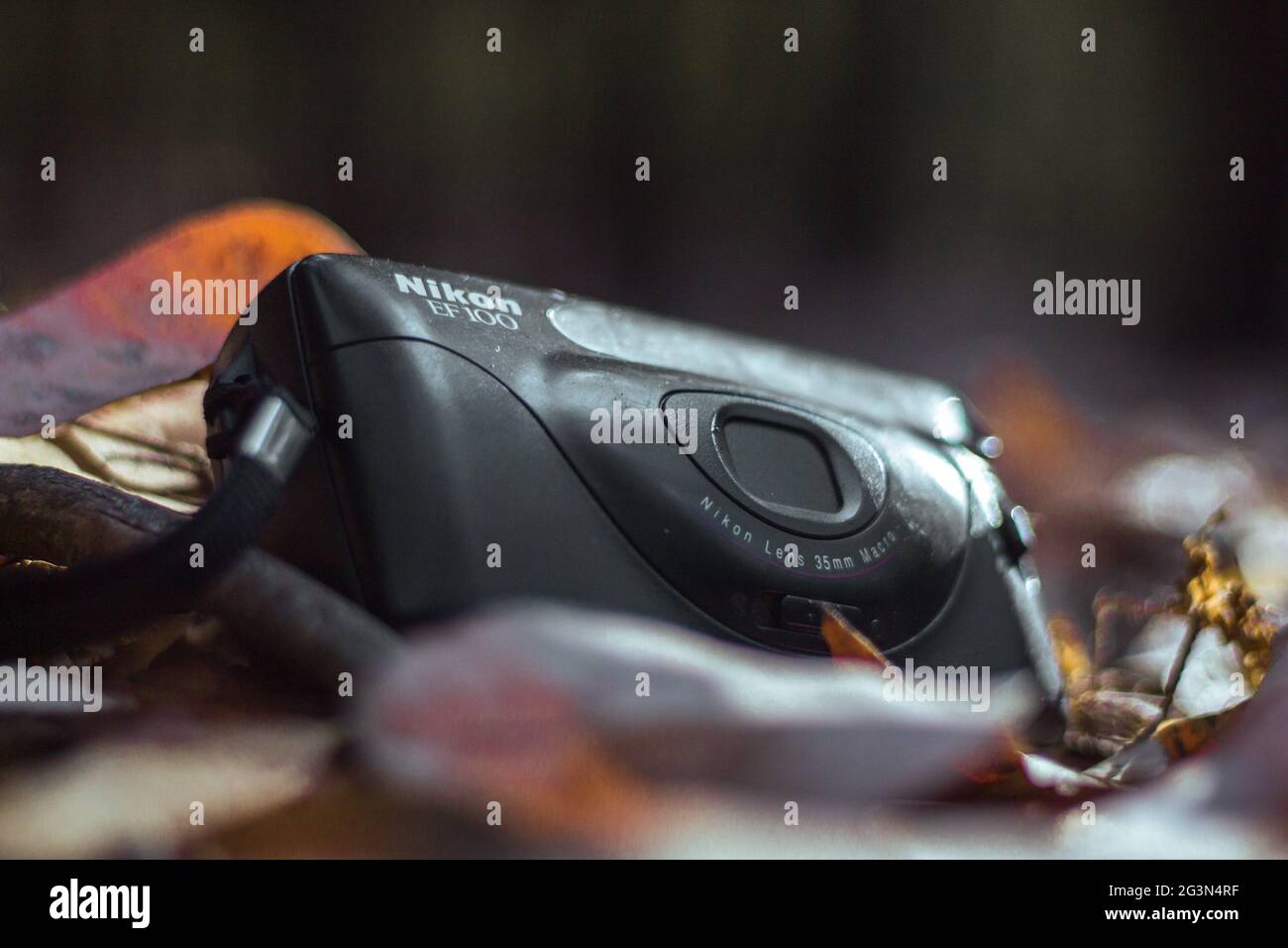 Alte Fotokamera inmitten der Äste und Blätter gefallener Bäume auf dem Waldboden, Vintage-Kamera, nikon ef100, schwarze Kamera Stockfoto