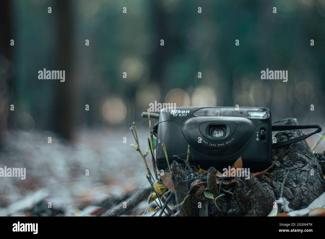 Eine alte Kamera auf einem Baumstumpf mitten im Wald, Vintage-Kamera, nikon ef100, schwarze Kamera Stockfoto