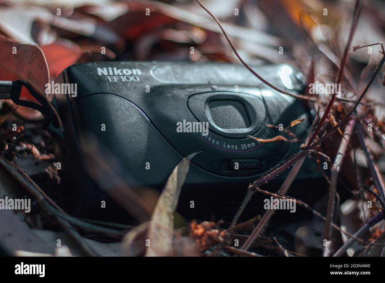 Alte Fotokamera inmitten der Äste und Blätter gefallener Bäume auf dem Waldboden, Vintage-Kamera, nikon ef100, schwarze Kamera Stockfoto
