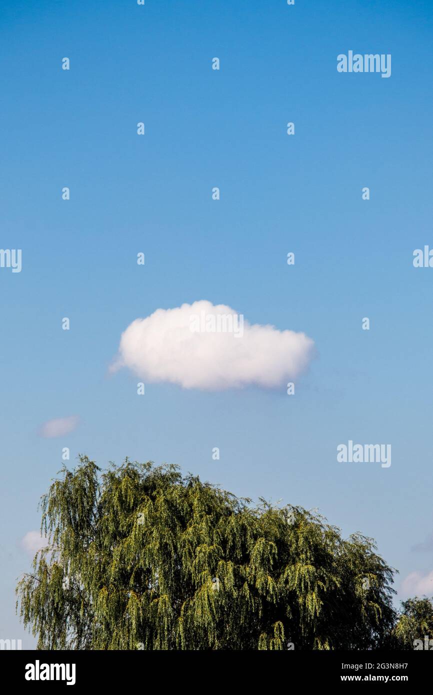Weiße Farbwolken bedecken den blauen Himmel Stockfoto
