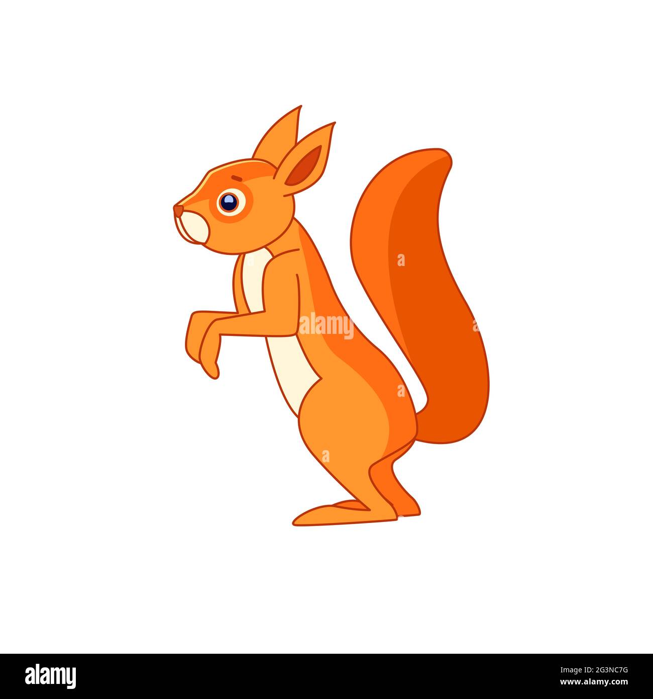 Cute Eichhörnchen steht und sieht neugierig. Zeichentrickfigur eines Säugetiernagers. Ein wildes Waldgeschöpf mit orangefarbenem Fell. Seitenansicht. Vektor flach Stock Vektor
