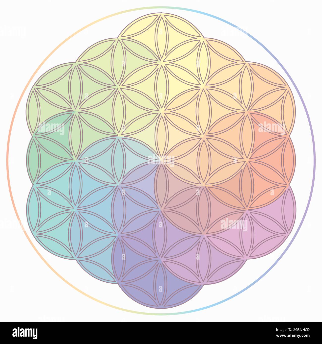 Blume des Lebens Symbol in Regenbogenfarben, kosmisches Universum Energie Rad Stock Vektor