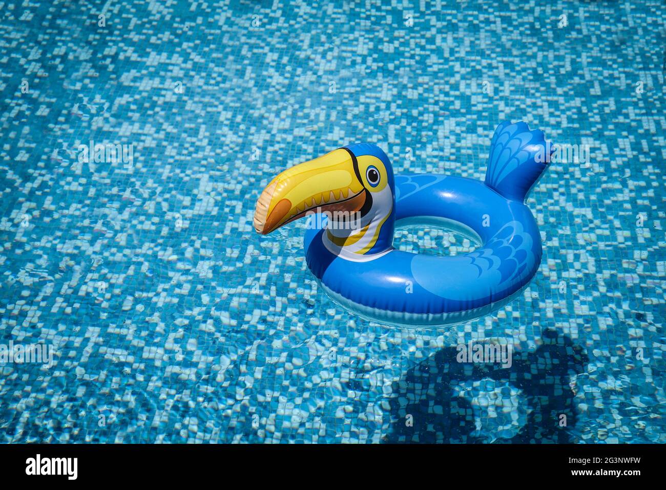 Aufblasbares Pelican Pool Spielzeug Im Leeren Pool. Aufblasbares Pelican Pool Spielzeug Schwimmend Im Blauen Wasser. Leerer Kopierplatz auf der linken Seite. Stockfoto