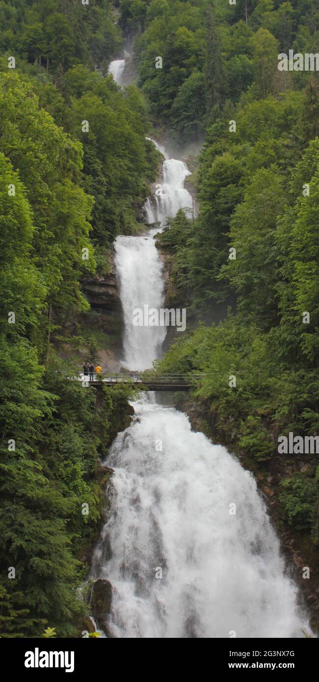 Giessbachfälle im Frühsommer. Herrliche Wasserfälle in der Nähe von Interlaken, Schweiz. Stockfoto