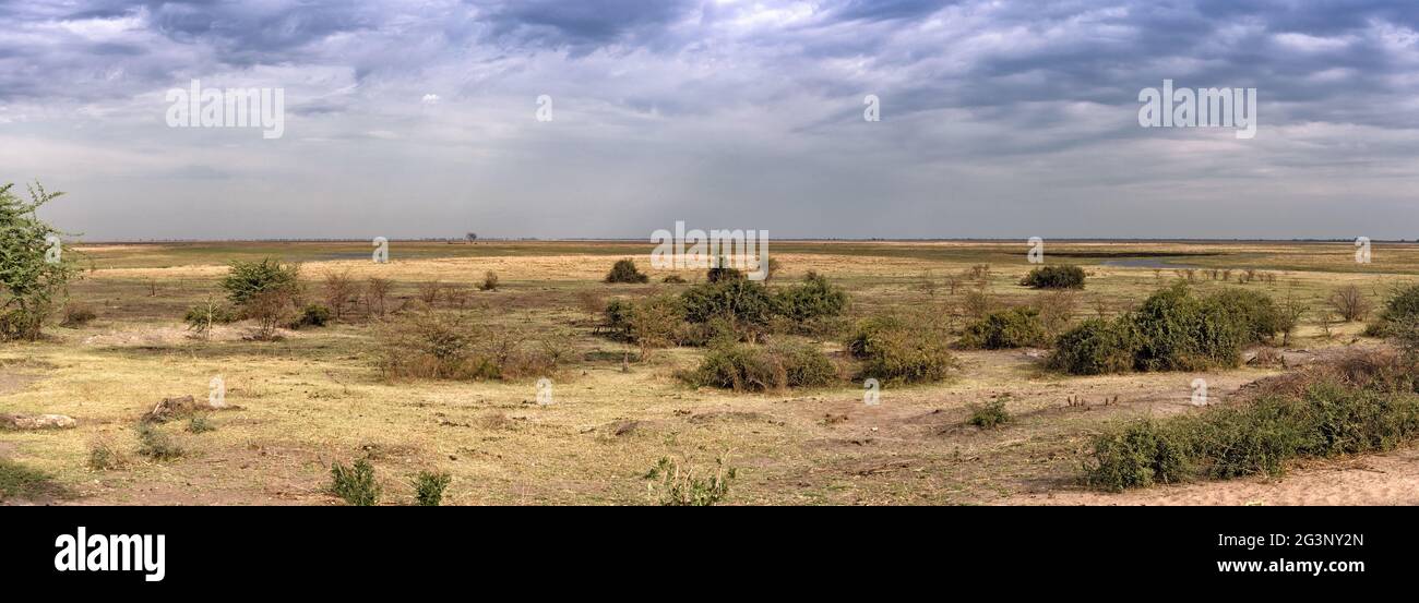 Landschaft des fast ausgetrockneten Chobe River am Ende der Trockenzeit kurz vor dem Zusammenfluss mit dem Zambezi River Bots Stockfoto