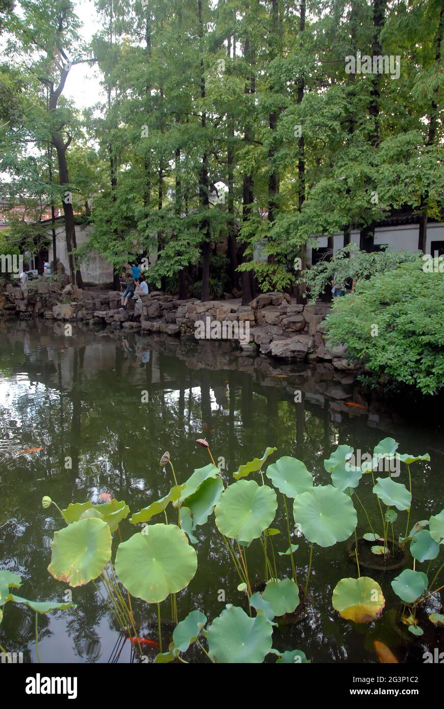 Yu Yuan Garten in der Altstadt von Shanghai, China. Ein traditioneller chinesischer Garten mit Bäumen, Felsen und Wasser. Blick auf den See mit unkenntlichen Menschen. Stockfoto