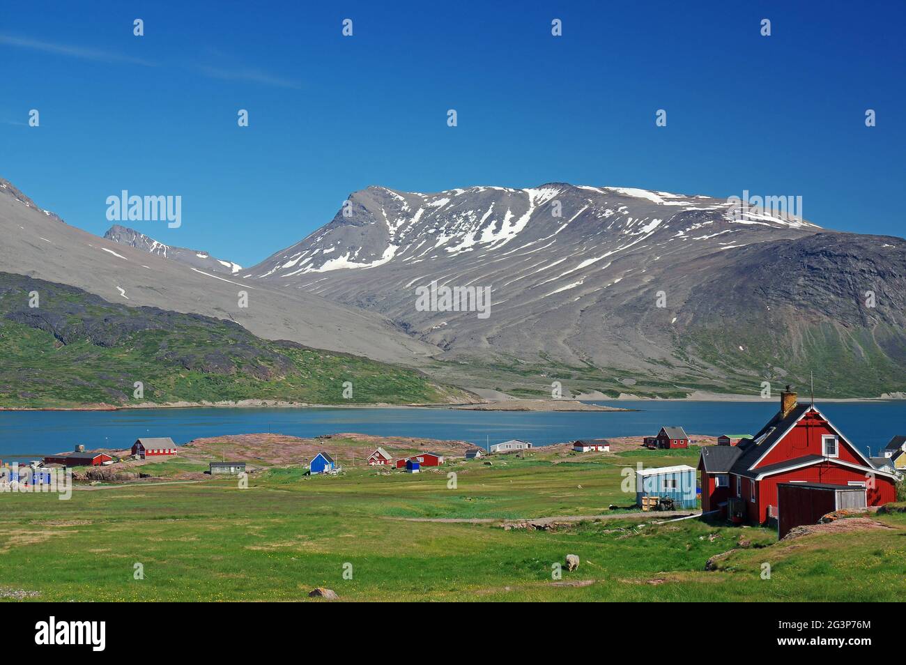 Igaliku im südlichen grönland Stockfoto