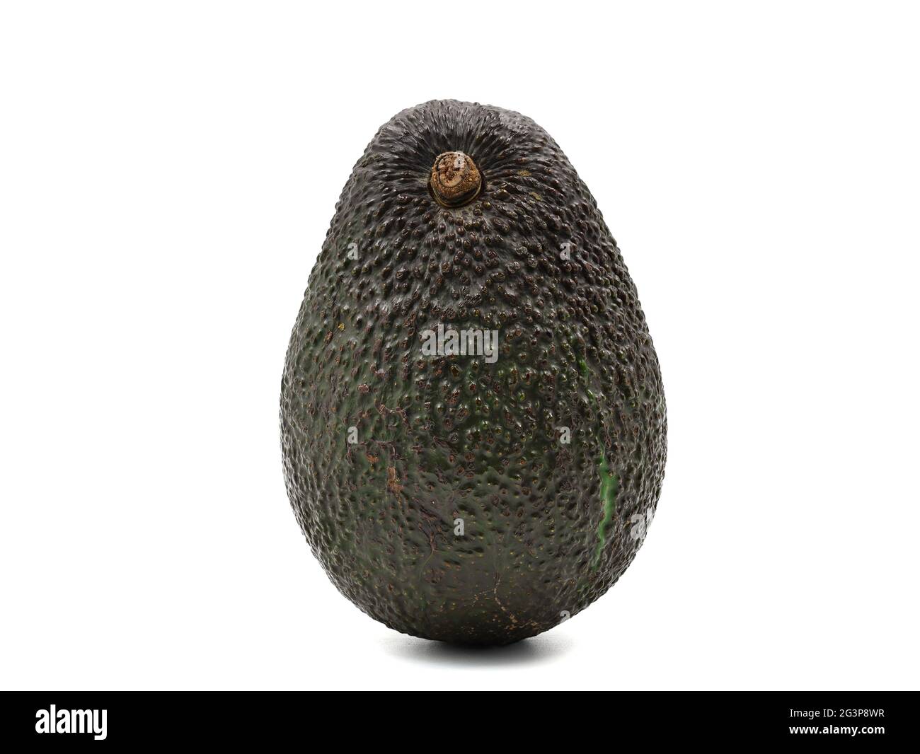 RIPE hass Avocado isoliert auf weißem Hintergrund, Vorderansicht der ganzen Frucht Stockfoto