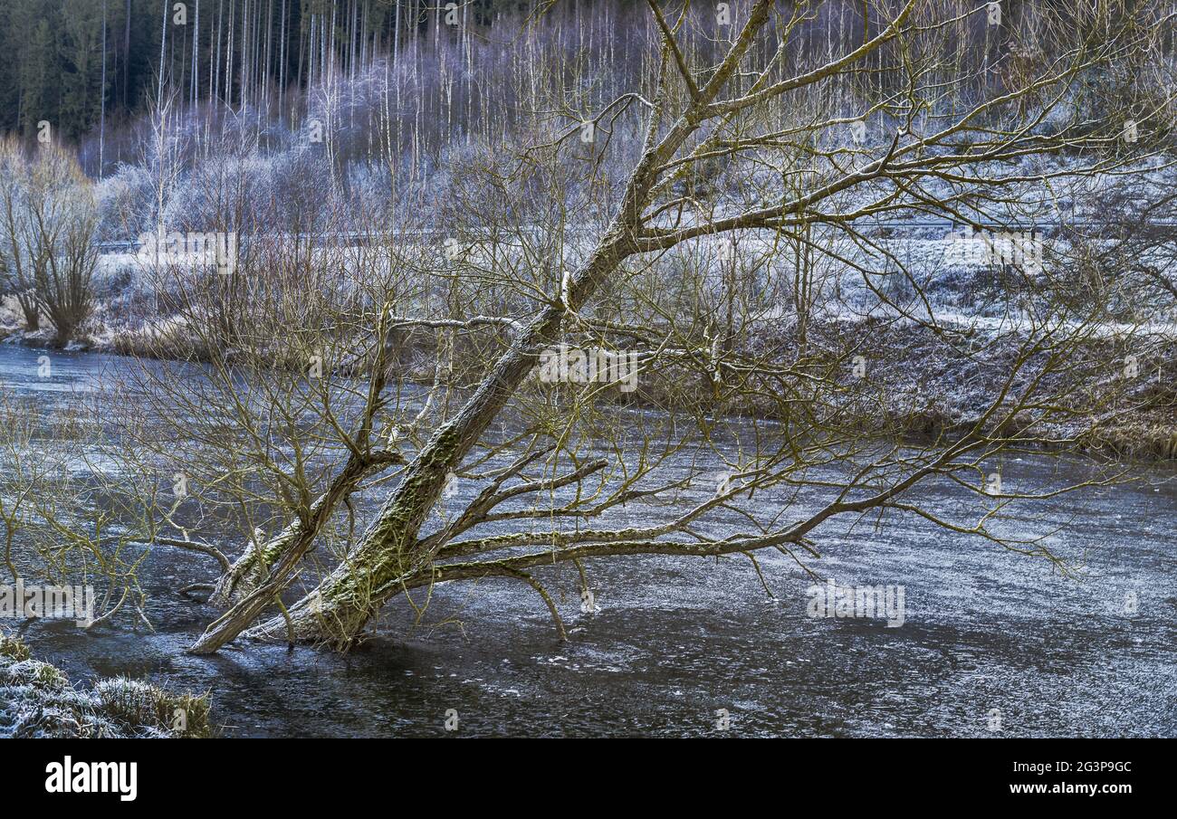 Dezember auf der Saale Stockfoto