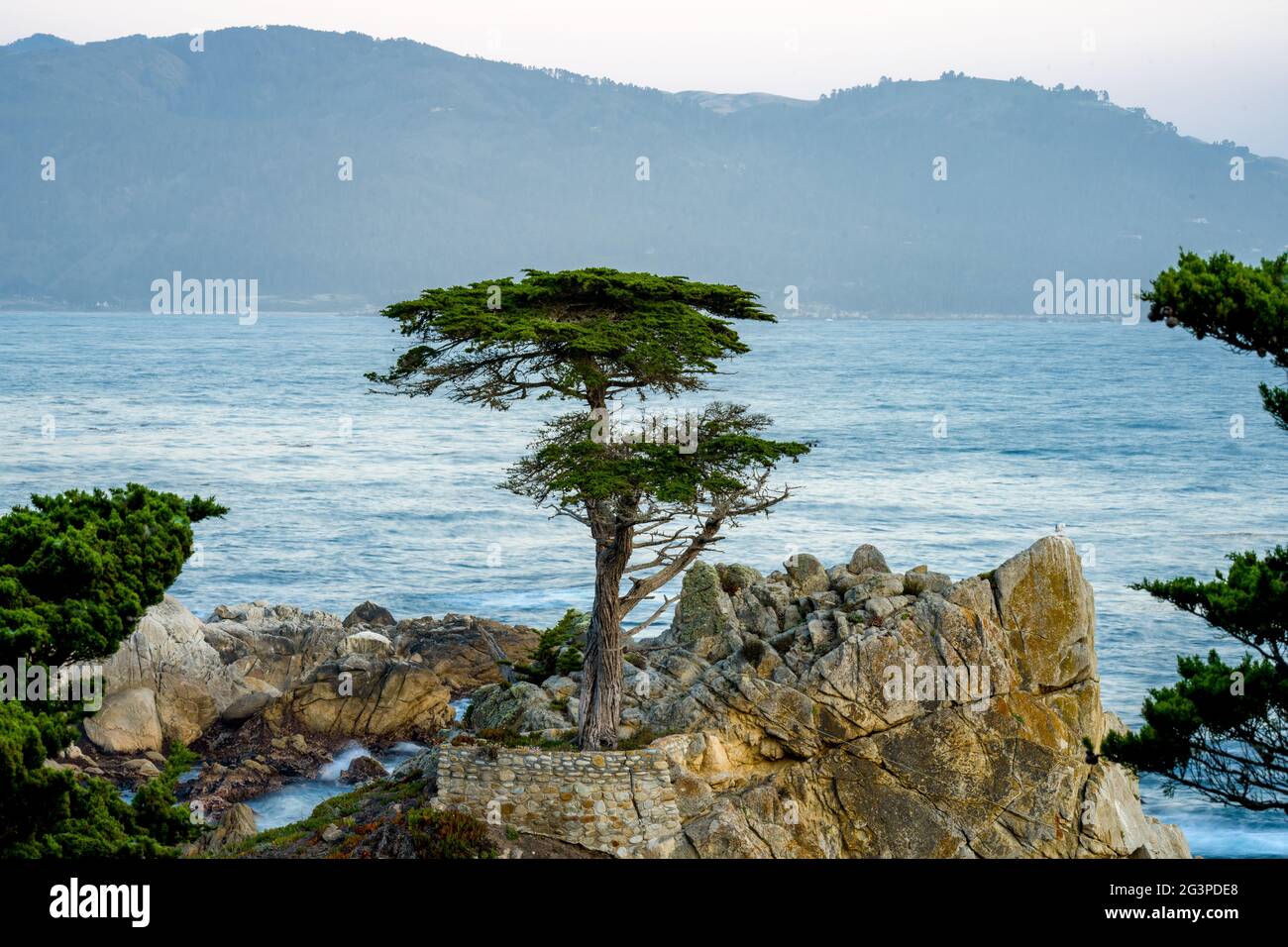 17 Meilen Fahrt am Pebble Beach um den Sonnenuntergang Stockfoto