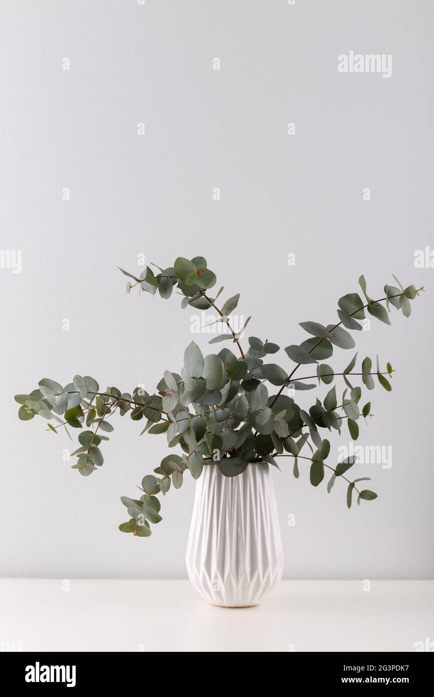 Bouquet von Eukalyptus Stockfoto