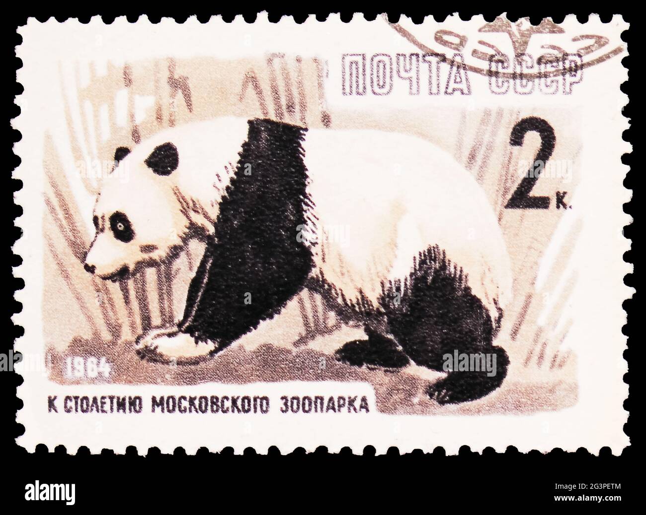 MOSKAU, RUSSLAND - 22. MÄRZ 2020: Die in der Sowjetunion gedruckte Briefmarke zeigt den Großen Panda (Ailuropoda melanoleuca), die Jahrhundertserie des Moskauer Zoos, um 1 Stockfoto