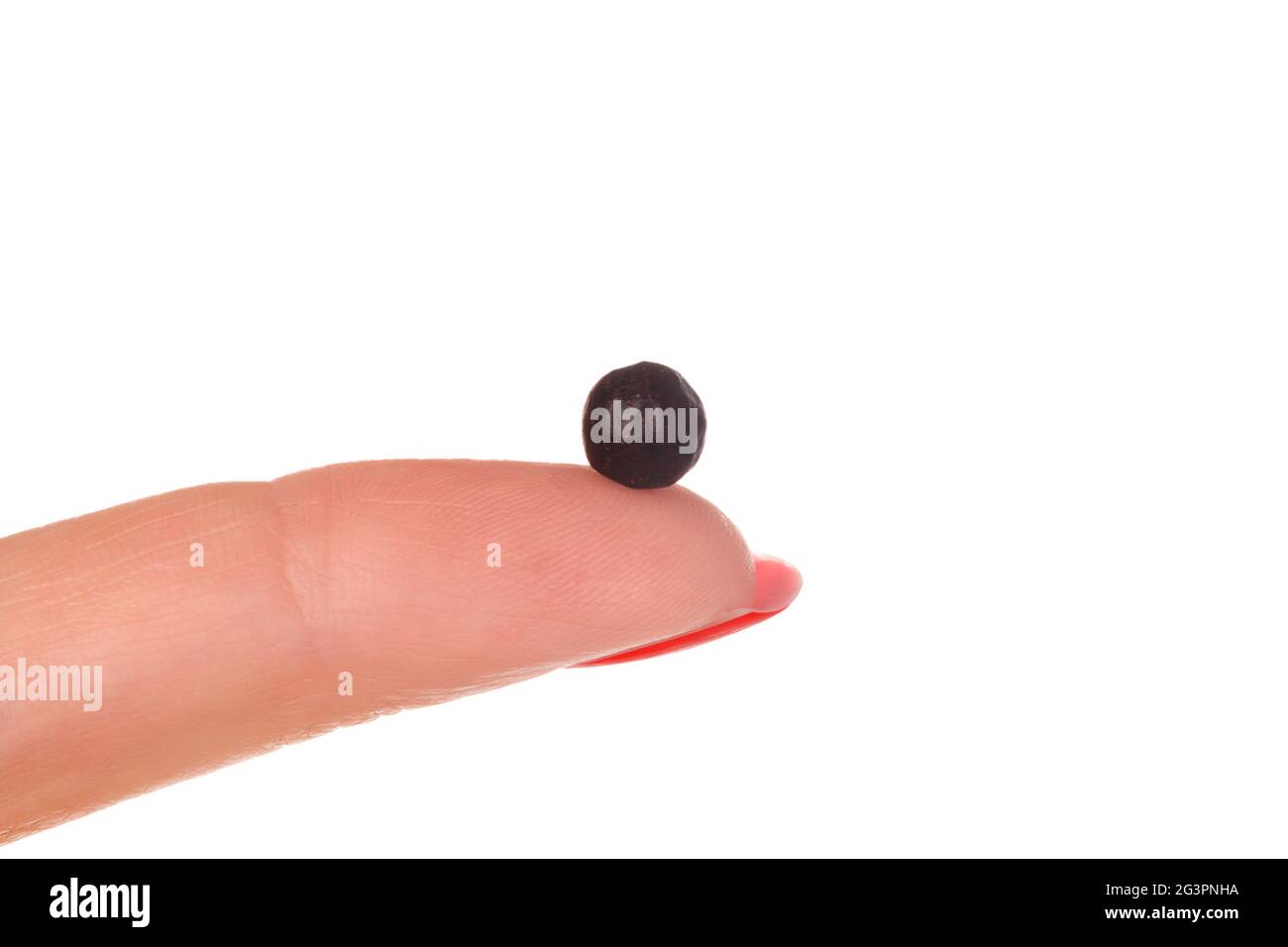 TCM-Kräuterpille auf dem Finger der Frau. Stockfoto