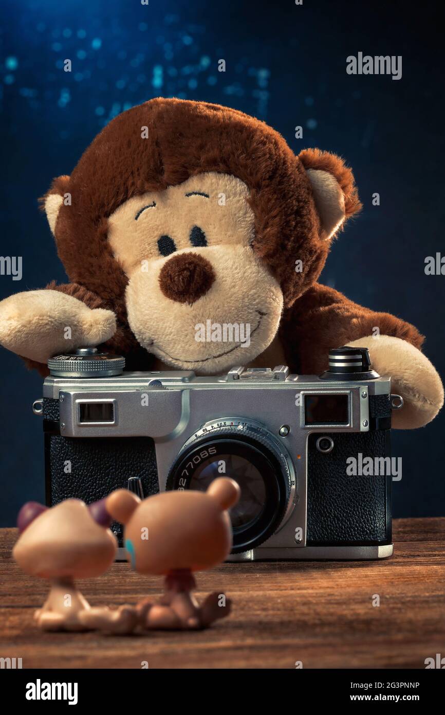 Plüschaffen mit einer alten Filmkamera, die Spielzeugtiere fotografiert Stockfoto