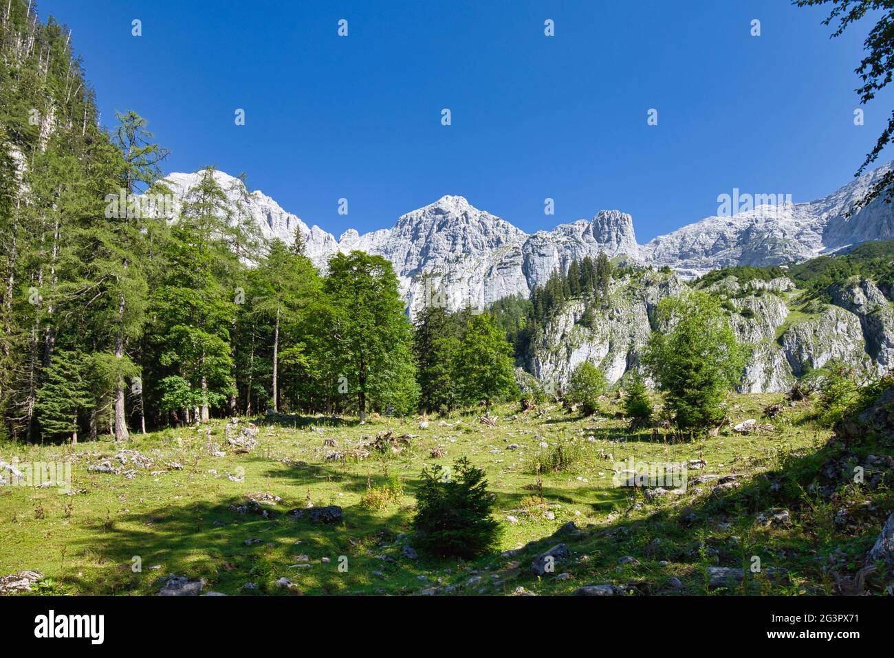 Landschaft mit felsigen Bergen und grünem Wald im Nationalpark Gesäuse in Österreich Stockfoto