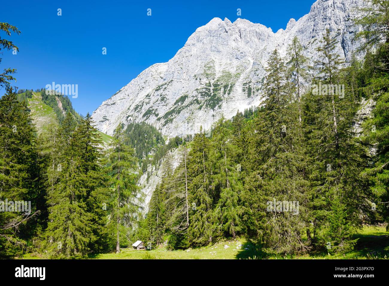 Landschaft im Nationalpark Gesäuse, Österreich Stockfoto
