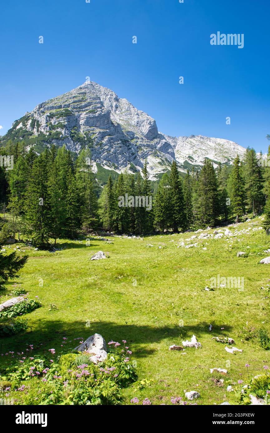 Alpenlandschaft im Nationalpark Gesäuse in Österreich Stockfoto