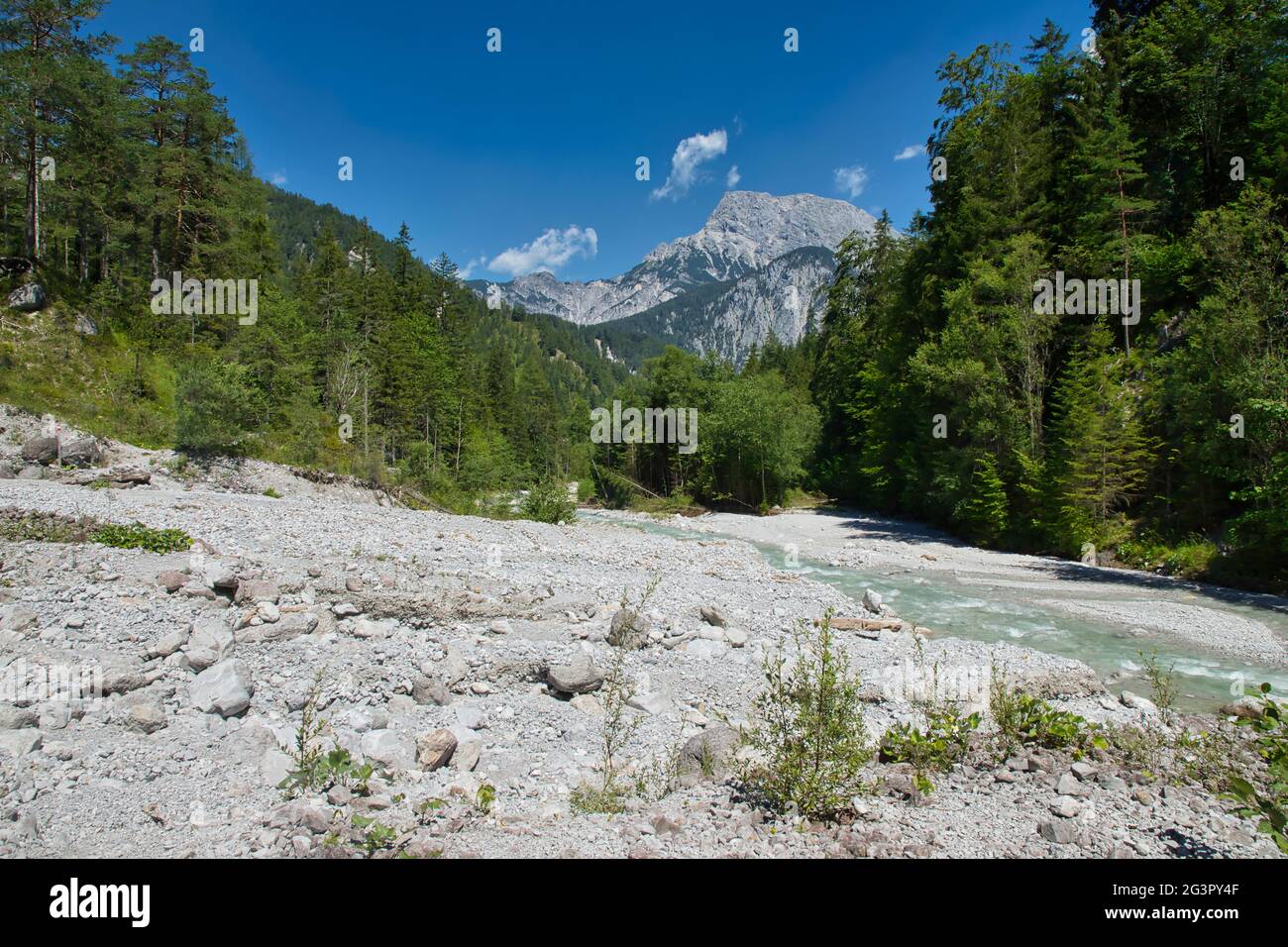Am Ufer des Johnsbach im Nationalpark Gesäuse in Österreich Stockfoto