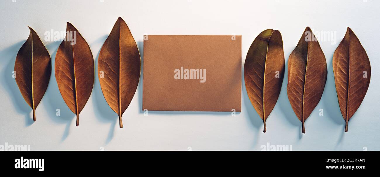 Umschlag aus Kraftpapier mit braunen Magnolienblättern. Herbst und zurück zur Schule Kopie Raum Mock-up Stockfoto