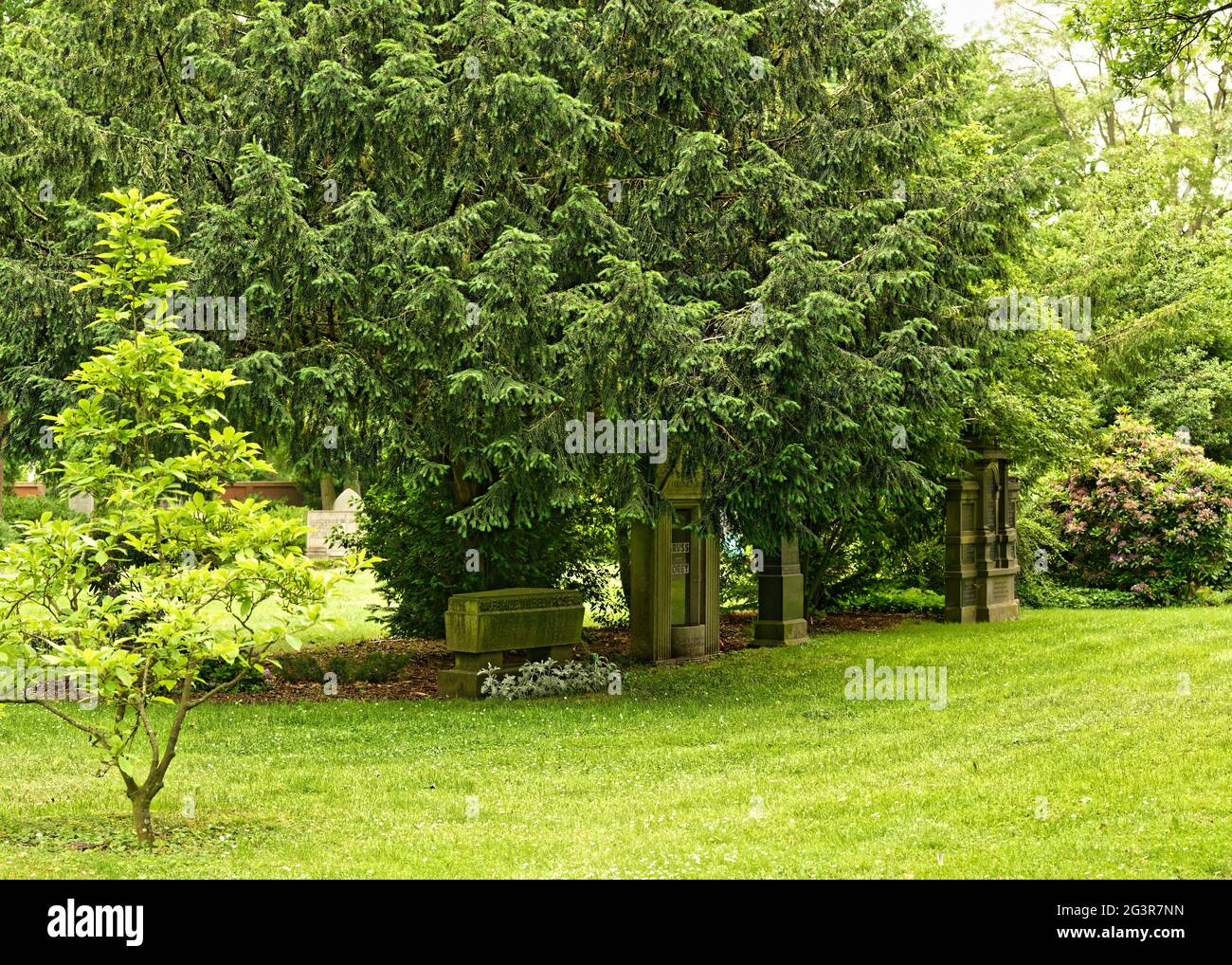 Alte Grabsteine, Parkansicht, HQ Panorama, Stadtfriedhof Stöcken in