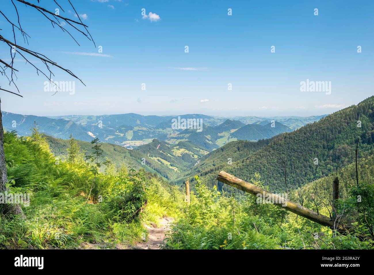 Wanderung zum Almkogel, einem Berg im Ennstal in GroÃŸraming, Oberösterreich Stockfoto