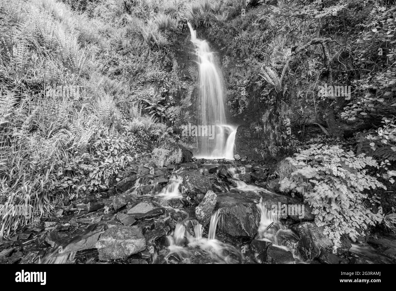 Langzeitbelichtung des Hollowbrook Wasserfalls auf dem South West Coastpath von Woody Bay bis Heddons Mouth in Devon Stockfoto