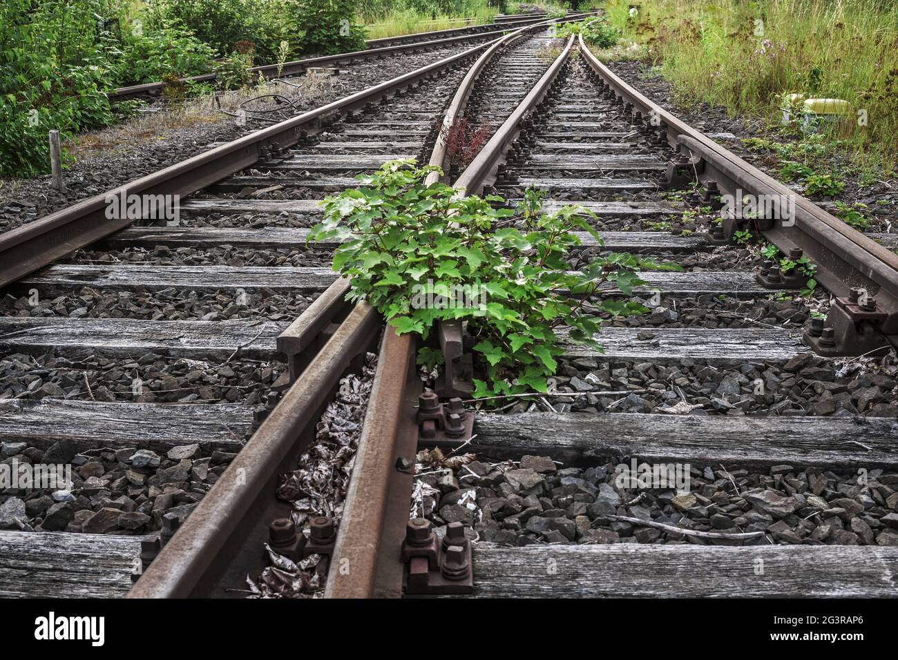 Eisenbahnen - Vergessene Gleise Stockfoto