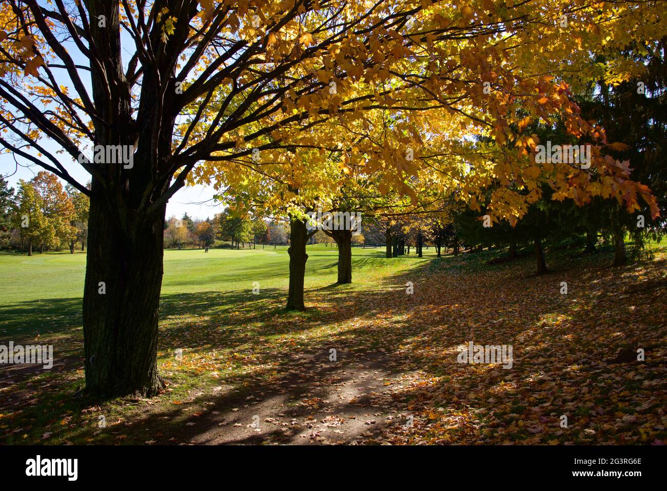 Der Fußweg des Golfplatzes im Herbst Stockfoto