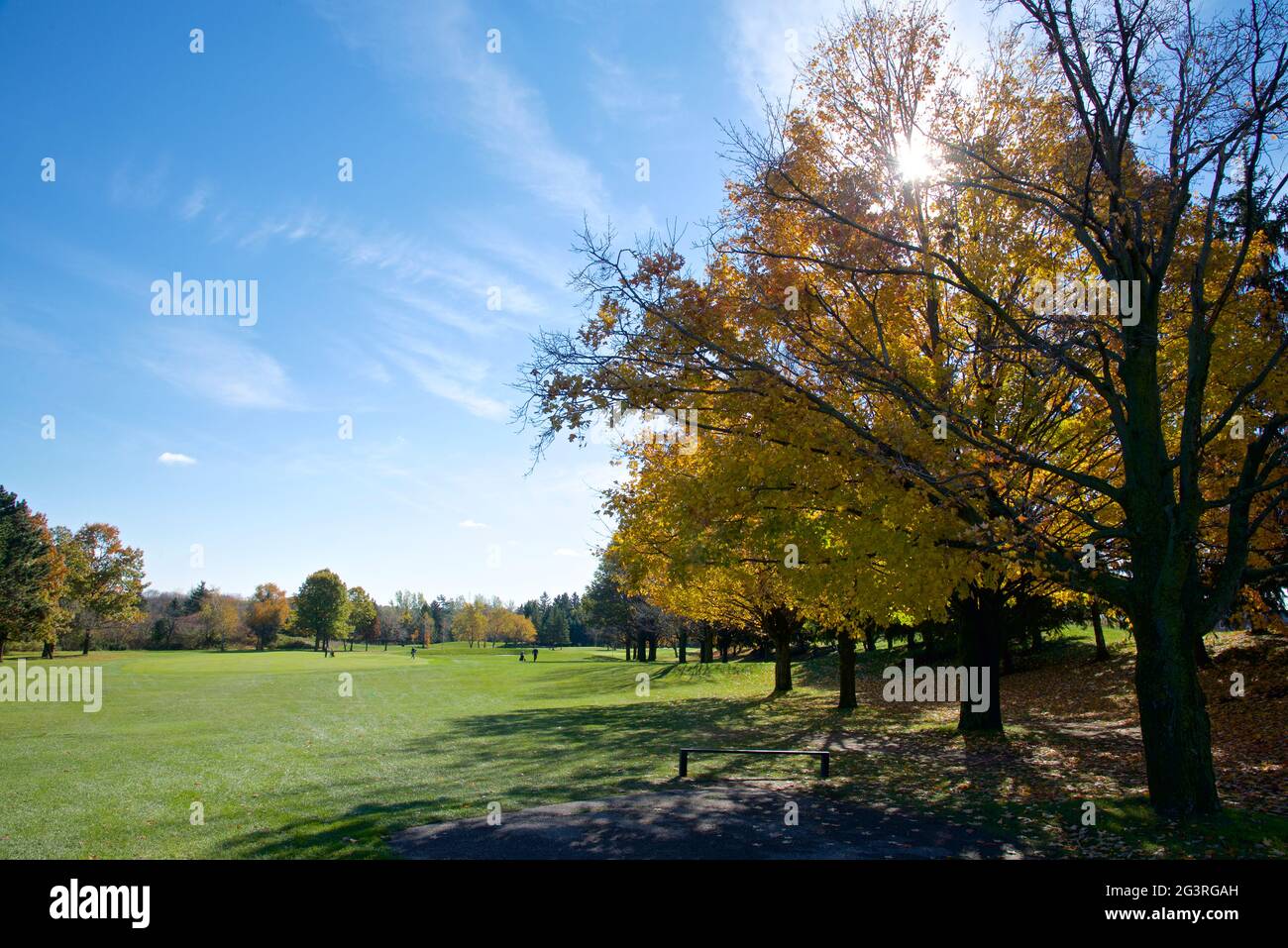 Der Golfplatz im Herbst mit Streulicht Stockfoto