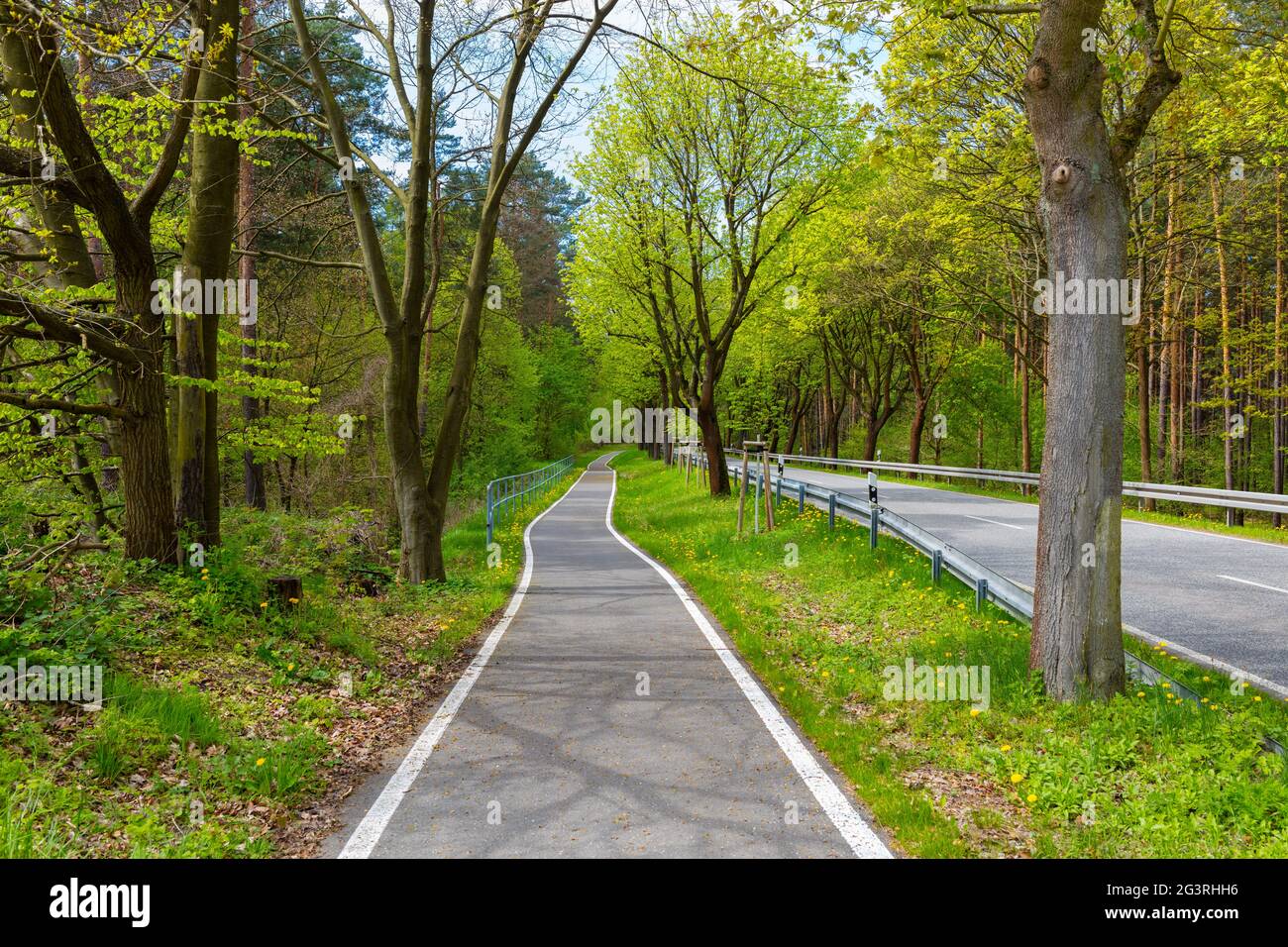 Neu erbauter Radweg in grüner Natur, Verkehrsplanung deutschland, Straßenbau, Frühjahr Stockfoto