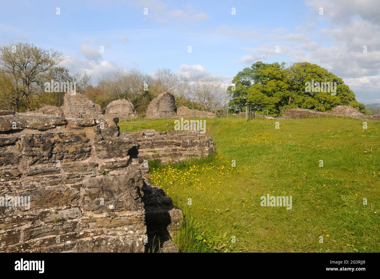 Die Ruinen von Dolforwyn Castle, in der Nähe von Abermule, Montgomeryshire, Wales Stockfoto