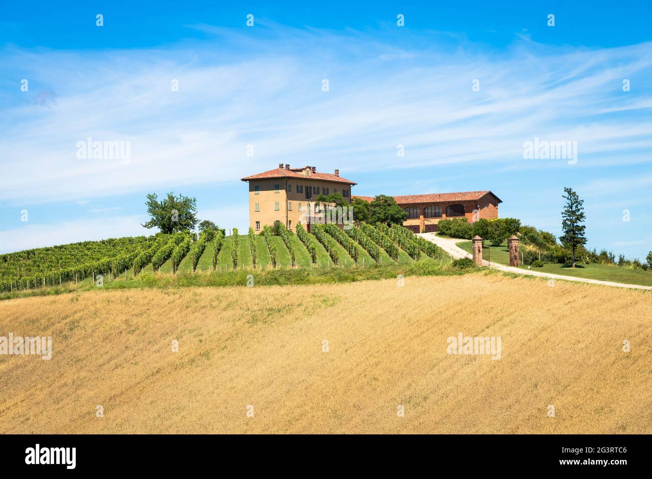 Piemont Hügel in Italien mit landschaftlich reizvoller Landschaft, Weinbergfeld und blauem Himmel Stockfoto