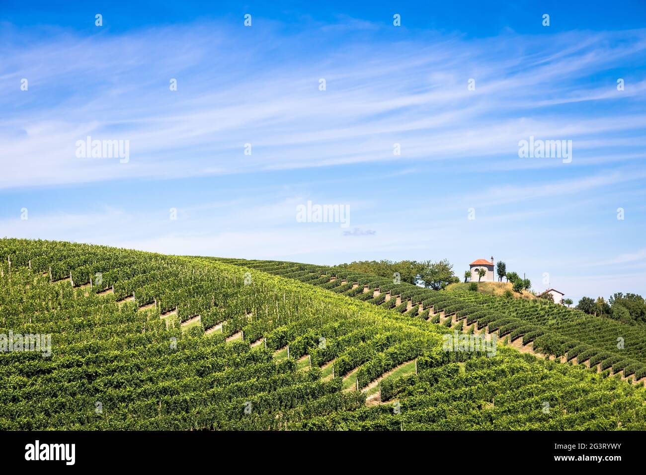 Piemont Hügel in Italien mit landschaftlich reizvoller Landschaft, Weinbergfeld und blauem Himmel Stockfoto