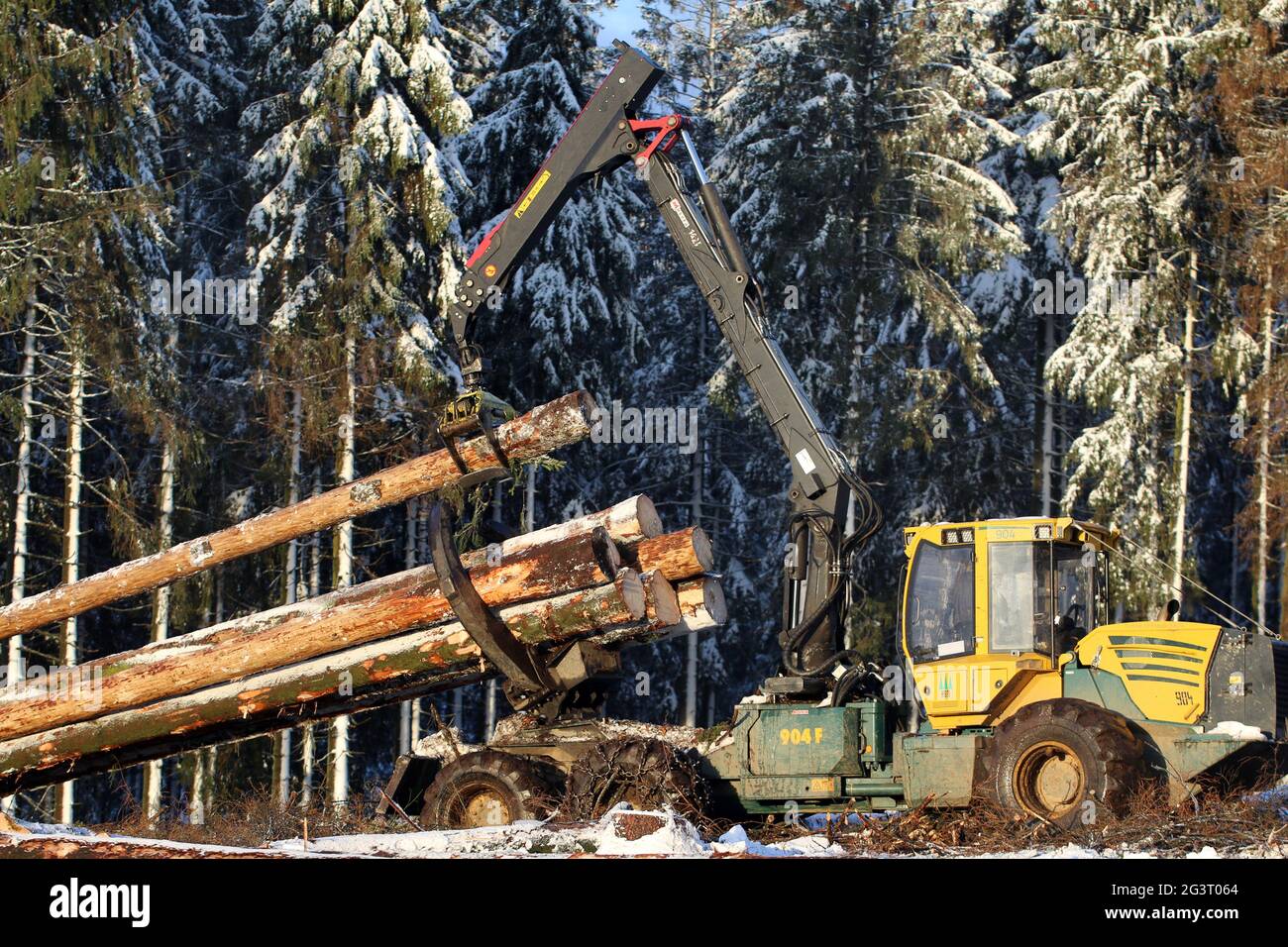 Verladung von Fichtenstämmen auf klar geschnittener Fläche, Deutschland Stockfoto