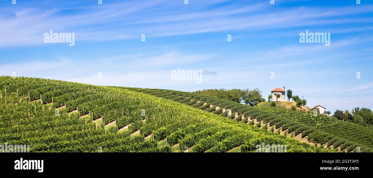Piemont Hügel in Italien mit landschaftlich reizvoller Landschaft, Weinbergfeld und blauem Himmel Stockfoto