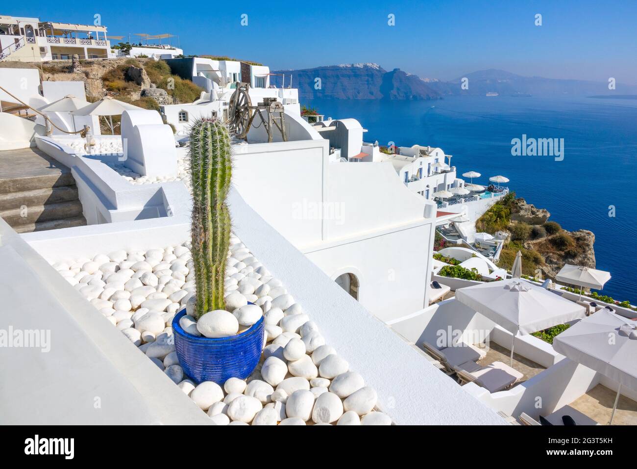 Dekorative Kakteen und weiße Häuser in Santorini Stockfoto