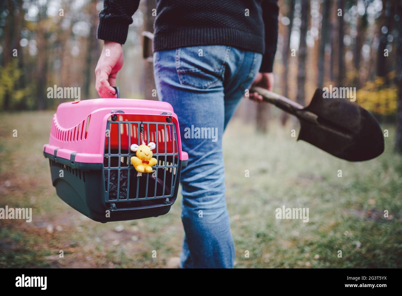 Thema ist der Tod des Haustieres. Rückansicht des Menschen, der auf dem Waldweg läuft und Schaufel in einer Hand zum Graben von Gräbern trägt, und in anderen Stockfoto