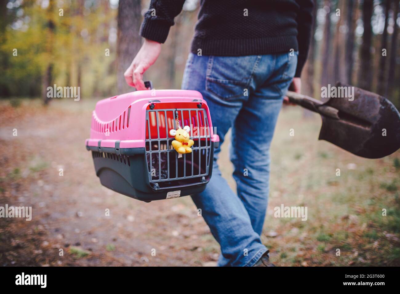 Mann, der noch im Wald ist und Transportbox mit totem Haustier und Schaufel für das Vergraben von Tier in Holz trägt. Verlust von Haustier im Herbst. Männlich Stockfoto