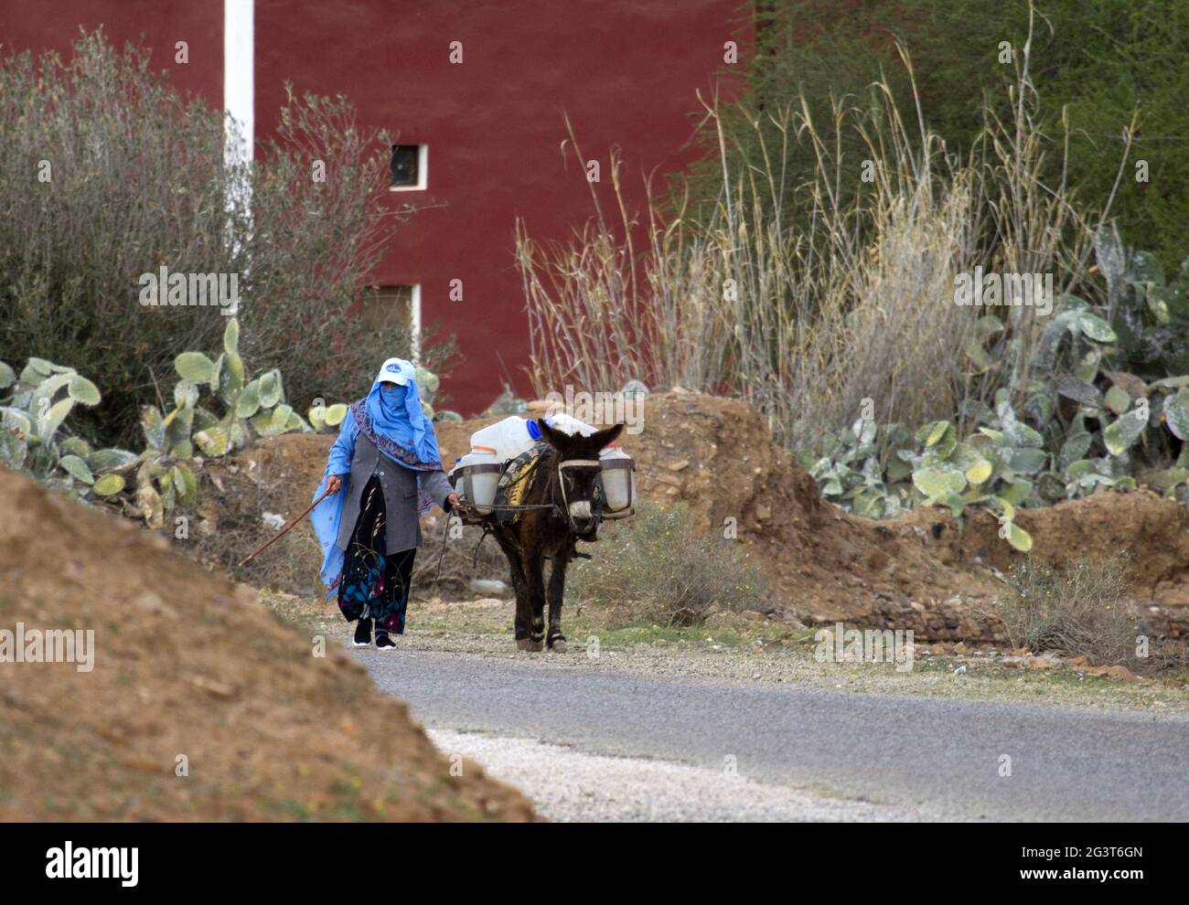 Bergdorf Ait-Milk, Gebirge Anti-Atlas, Marokko Stockfoto