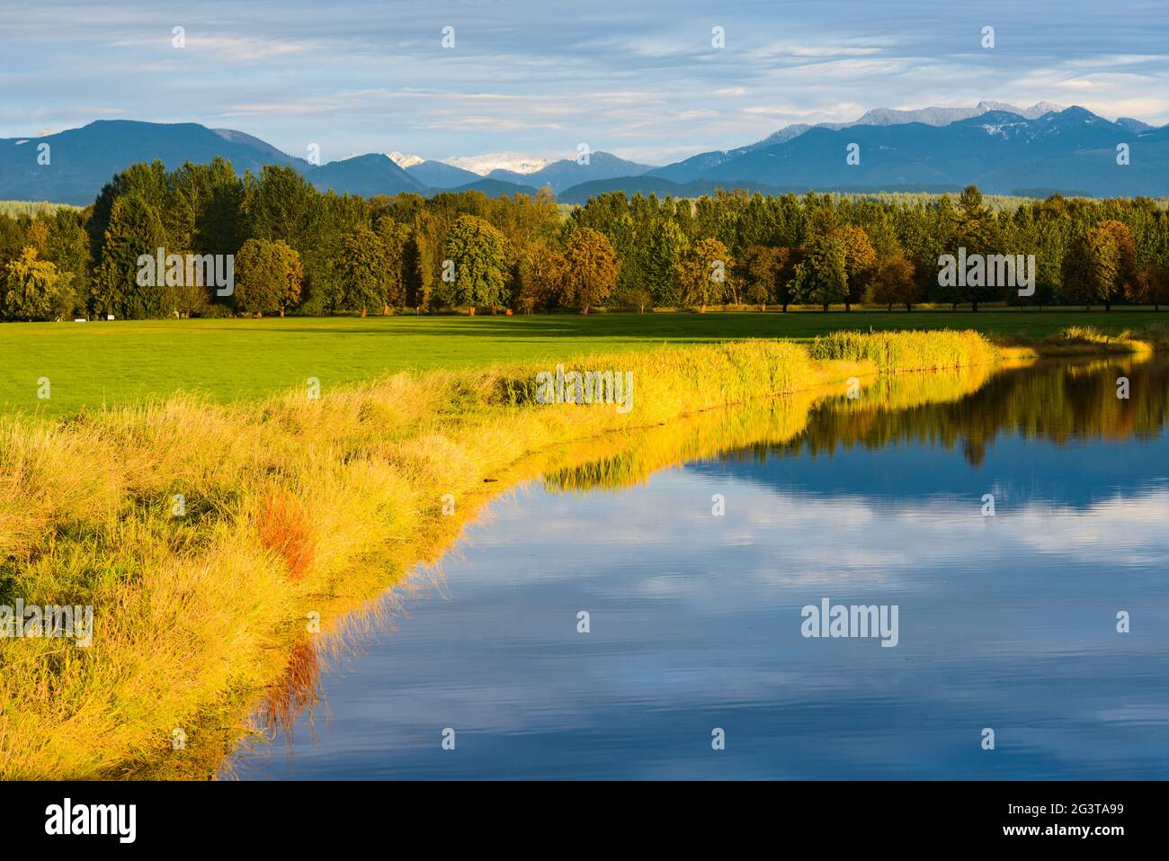 Das Snoqualmie Valley im westlichen Bundesstaat Washington, wenn die Abendsonne das Ackerland im goldenen Herbstlicht erhellt. Das Gras spiegelt sich in Sikes Lake Stockfoto