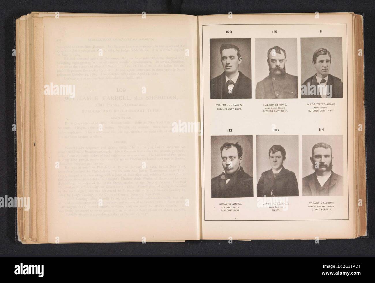 Sechs Porträts von Dieben und Betrügern. Oben links William E. Farrell, Mitte über Edward Gearing, oben rechts James Titterington, unten links Charles Smyth, rechts unter James Fitzgerald, unten rechts George Ellwood. Stockfoto