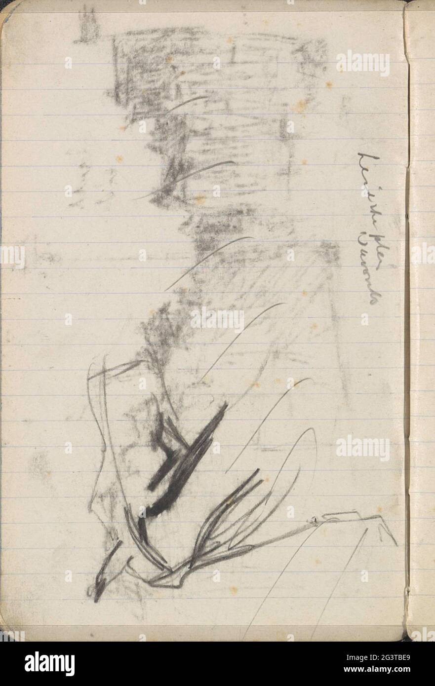 Pferd mit Zaumzeug. Seite 25 aus einem Skizzenbuch mit 39 Blättern. Stockfoto