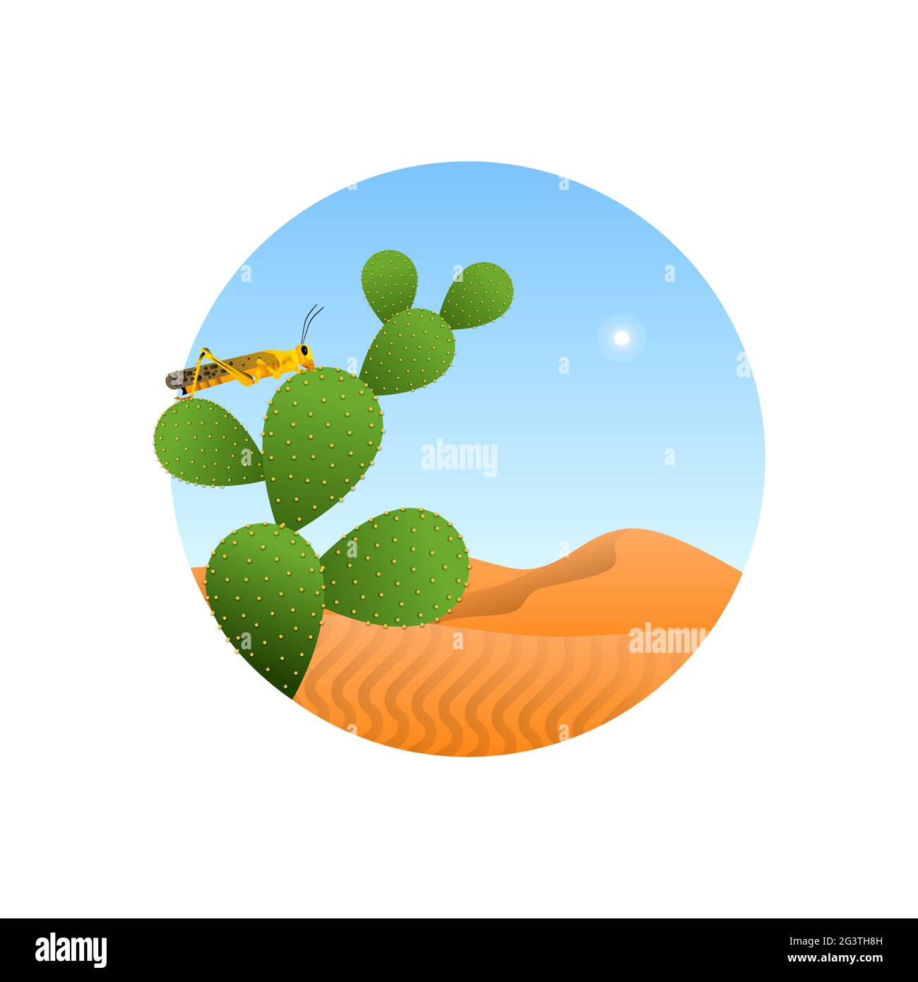 Wildheuschreckeninsekt in Wüstenlandschaft Illustration auf isoliertem weißem Hintergrund. Grasshopper Pest Tierkonzept. Pädagogisches Wildtierdesign, Modus Stock Vektor