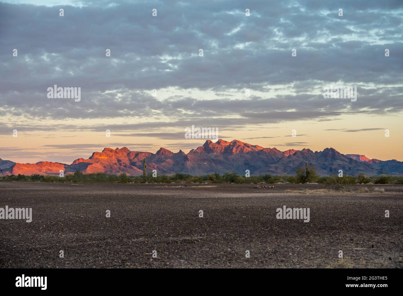 Ein Blick auf die Natur entlang Quartzsite, Arizona Stockfoto