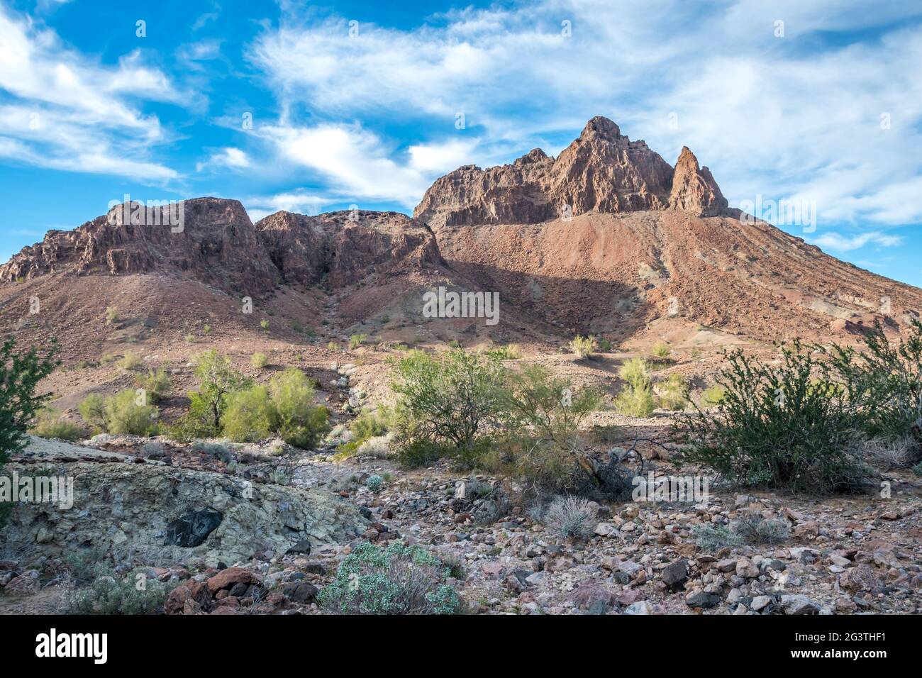 Ein Blick auf die Natur in Yuma, Arizona Stockfoto