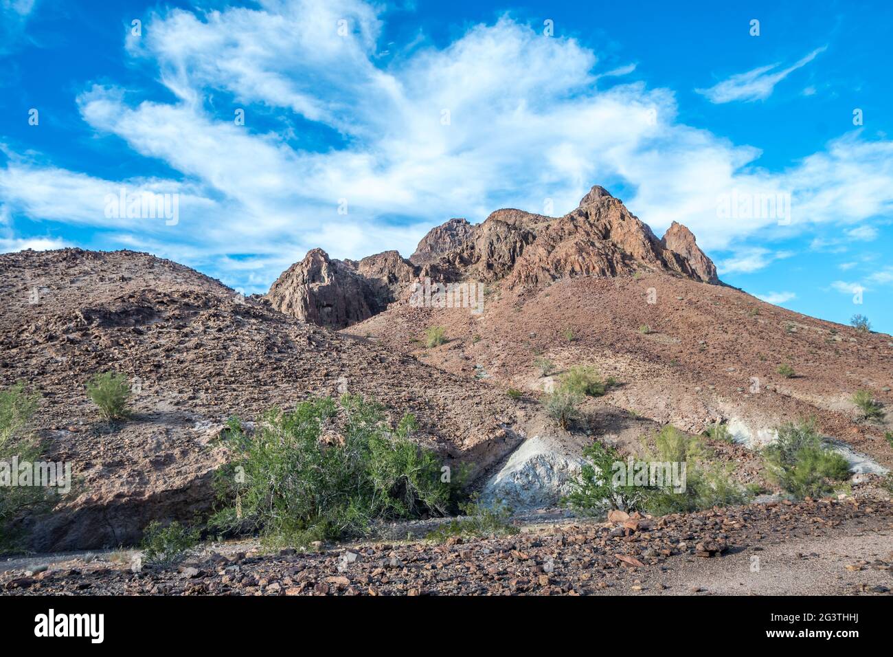 Ein Blick auf die Natur in Yuma, Arizona Stockfoto