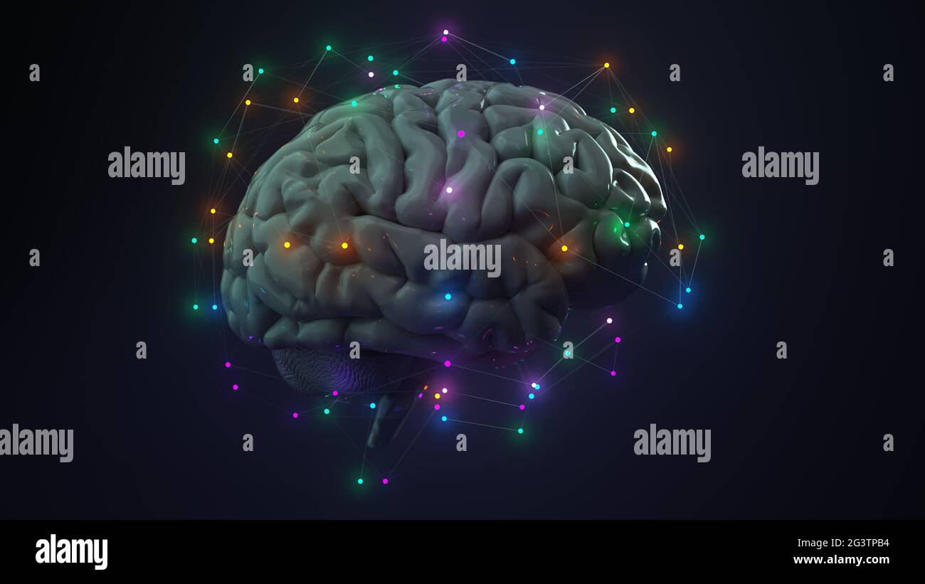 Neuronales Netzwerk Des Menschlichen Gehirns Stockfoto