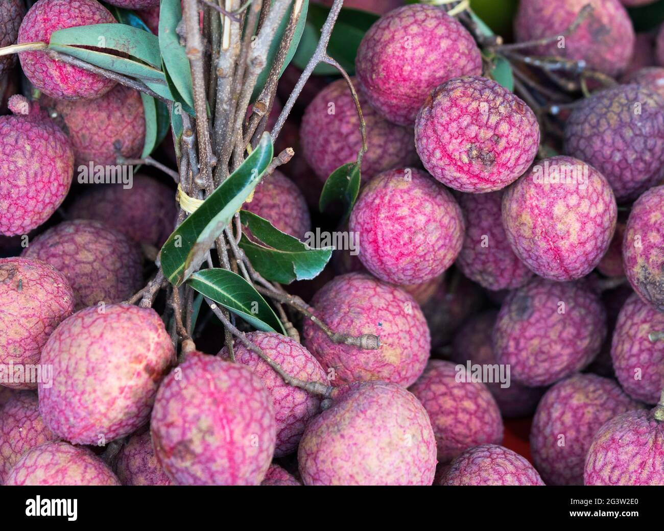 Frisches Lychee-Obst auf dem Freiluftmarkt Stockfoto