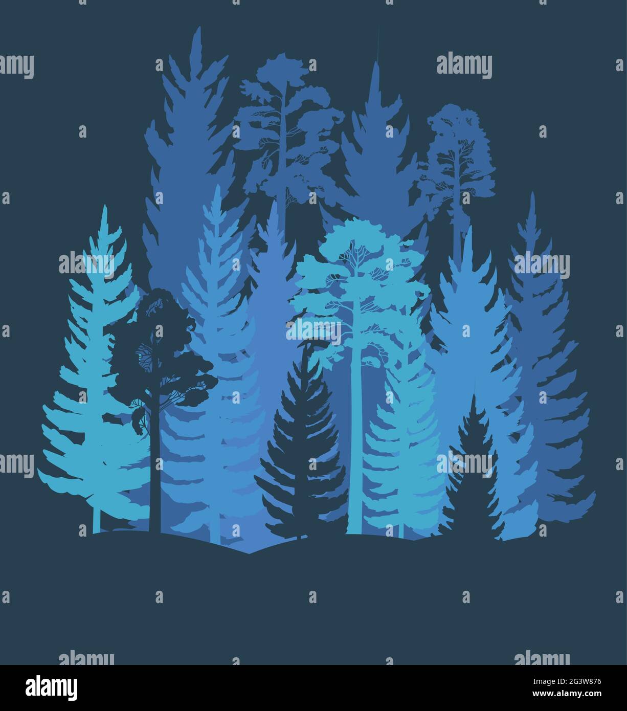 Forest Silhouette. Landschaft mit Nadelbäumen. Wunderschöne Aussicht bei Nacht. Kiefern- und Fichtenbäume. Sommer Naturlandschaft. Illustration Vektorgrafiken Stock Vektor