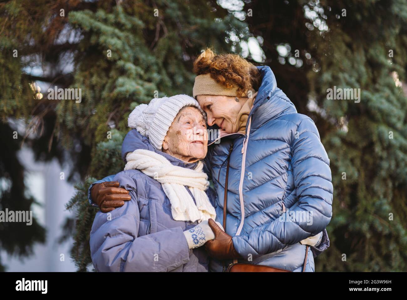 Kaukasische Frauen ältere Mutter und reife Tochter im Wintergarten auf Hintergrund Tannenbaum umarmt sich von Angesicht zu Angesicht, lächeln, sp Stockfoto